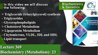 Triglycerides  Cholesterol Metabolism  Lipoprotein Metabolism  Lipid transport [upl. by Englebert124]