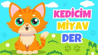 Kedicim Miyav Miyav Der  Güzel Bebek Şarkıları  Kedicim Benden Ne İster [upl. by Ynoep]