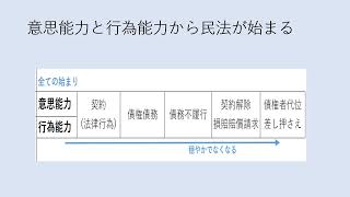 宅建民法は意思能力と行為能力から始まる意思表示、制限行為能力者宅建2ヵ月合格講座図解民法1 [upl. by Arracat]