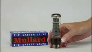 Mullard EL34 Tube [upl. by Yrebmik67]