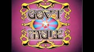 Govt Mule  Sad and Deep As You [upl. by Onairotciv]