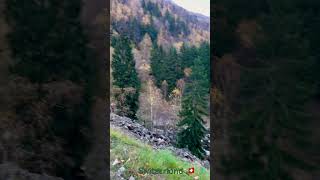 suisse mountains swiss nature bergen beautiful bergencounty [upl. by Ru886]