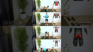 4 Dumbbell Exercises to target those Abs Biceps and Legs 💪 [upl. by Llertnek]