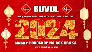 Čínský Horoskop 2024 Buvol  Láska Zdraví a Feng Shui pro Čínské Znamení Buvol na Rok Draka 2024 🐂 [upl. by Abdu]