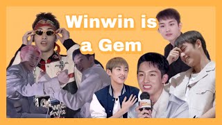 10 minutes of winwin being the definition of adorable  happy winwin day [upl. by Enner]