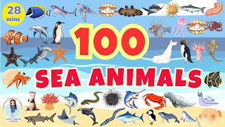 100 SEA ANIMALS for Kids  Aquatic Animals Names and Videos  English Vocabulary [upl. by Hayila]