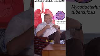 Understanding Reactivation Tuberculosis  Insights tuberkulosis tuberculosis medical doctor [upl. by Aiduan]