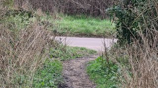 Walking about in Farleigh Woods Live 18032024  Mobile Stream 660 [upl. by Attiuqram]