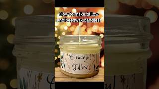 How to make tallow candles diy tallow shorts [upl. by Xylina]