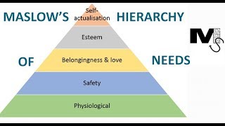 The use of Maslows Hierarchy of Needs in Business  Simplest explanation [upl. by Pelpel]