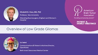 Overview of Low Grade Gliomas [upl. by Charleen]