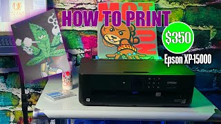 How to print DTF with XP15000 printer [upl. by Peppy]