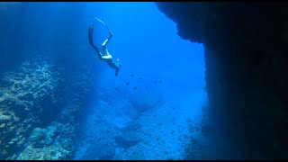 Freediving in Mljet National Park amp Makarska Croatia Underwater Forest Snorkeling [upl. by Weaks]