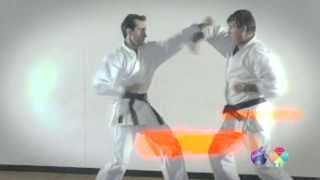 WADO RYU KARATE APP [upl. by Jansen]