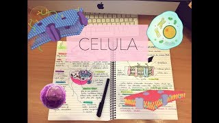 CELULA ȘI FIZIOLOGIA CELULARĂ  partea 1 [upl. by Blanca903]