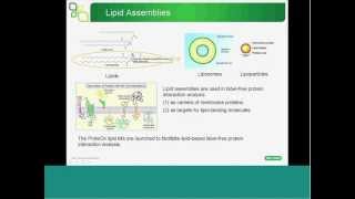 Identification and Characterization of Novel PhosphoinositideBinding Proteins Using SPR [upl. by Rimaj374]