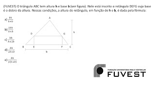 MATEMÁTICA  FUVEST Exercício Resolvido 019 [upl. by Devitt723]