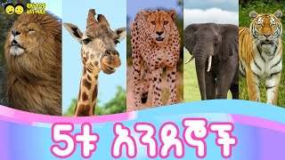 5ቱ አንደኞች Ye ethiopia lijoch songየኢትዮጵያ ልጆች መዝሙር [upl. by Kcirdez]