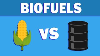 What are Biofuels and Where are They Going [upl. by Eisac53]