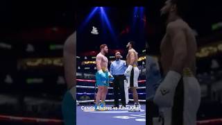 Canelo Alvarez vs Amir Khan Canelo amirkhan CaneloAlvarez KO knockout undisputed boxing [upl. by Attey]