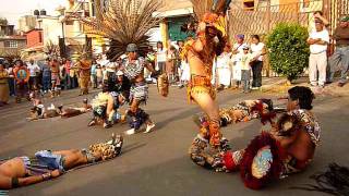 DANZA AZTECA  AGUILA BLANCA [upl. by Erastus]