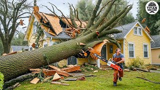 Dangerous Fastest Idiots Cutting Tree Fails Skill With Chainsaw  Tree Falling on Houses 2 [upl. by Haral]