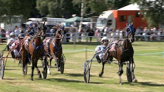 Sulky Trot harness horse racing during the 2023 Turriff Show in Aberdeenshire Scotland [upl. by Llenyl792]