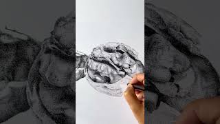 Anatomie d’une noix pointillisme pointillism drawing art rotring stipplingart noix dots [upl. by Ardnas]