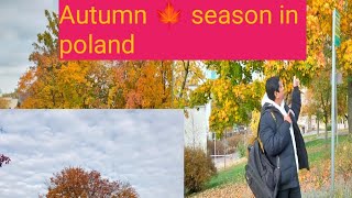 Autumn in Poland 🍁🍂🍁🍁 fall in most beautiful seasons evertravel autumn dailyvlog poland [upl. by Sufur960]