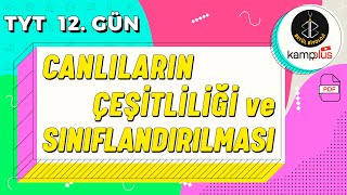 12 Canlıların Çeşitliliği ve Sınıflandırılması Konu Anlatımı  9 Sınıf Biyoloji  TYT 12 Gün [upl. by Enirehtakyram549]