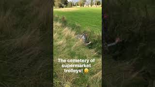 Brookvale Park where people dump their supermarket trolleys Birmingham Oct 2016 [upl. by Yks]