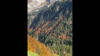 BELLES LUMIÈRES D’AUTOMNE  Aravis Le Grand BornandHaute SavoieFrance [upl. by Enovi]