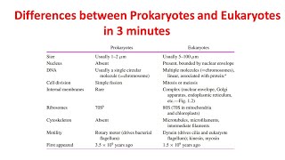 Differences between prokaryotes and eukaryotes  Prokaryotes vs Eukaryotes  Biology Lectures [upl. by Ynolem]