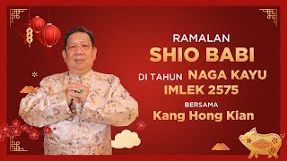 Ramalan Shio Babi di Tahun Naga Kayu 2024 Bersama Kang Hong Kian  Sonora Fengshui [upl. by Wickner518]