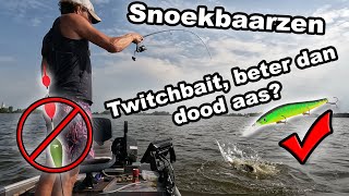 Twitchbait wint het van pennen op Snoekbaars [upl. by Aihceyt]