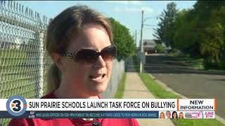 Sun Prairie Schools announces new task force on bullying after multiple fights in one day [upl. by Eula]