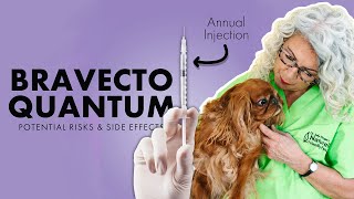 Injectable Bravecto Quantum aka Flea amp Tick Med💉⚠️ Beware [upl. by Charmian]