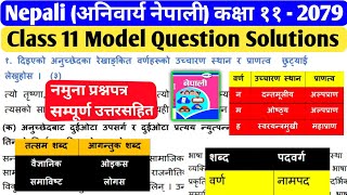 Compulsory Nepali Class 11 Model Question Solutions 2079  Class 11 Nepali with Solution NEB Exam [upl. by Haff98]