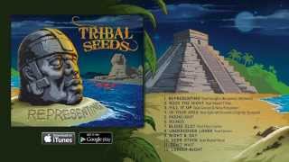 Tribal Seeds  Moonlight OFFICIAL AUDIO [upl. by Jaddan180]