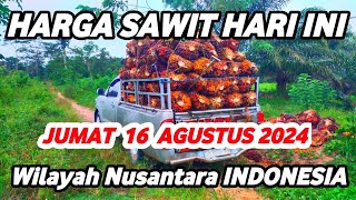 HARGA SAWIT HARI INI TERBARU 16 AGUSTUS 2024 Wilayah Daerah Nusantara INDONESIA [upl. by Esined]