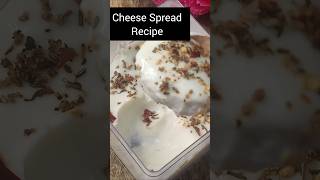 Homemade Cheese Spread Recipe  silkyskitchen  shorts [upl. by Ilac]