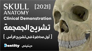 Skull Anatomy  اسهل طريقة لفهم تشريح الجمجمة Part  12 [upl. by Enirbas]