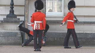 Buckingham Palace guard slips and falls in front of hundreds of tourists [upl. by Otreblif]