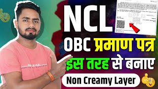 OBC NCL Certificate Kaise Banaye  How To Apply OBC NCL Cerificate  NCL Certificate Kaise Banaye [upl. by Rycca447]