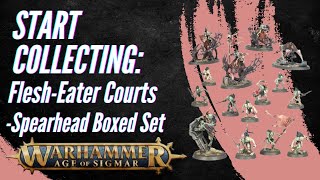 Start Collecting Age of Sigmar FleshEater Courts [upl. by Graff]