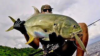 Barracuda amp Carangues  Rock Fishing Guadeloupe [upl. by Clarisa286]