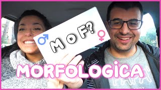 Finalmente MORFOLOGICA  Prepariamo CASA per il GENDER REVEAL [upl. by Eibbil]