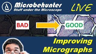 Improving micrographs digitally [upl. by Fabi]