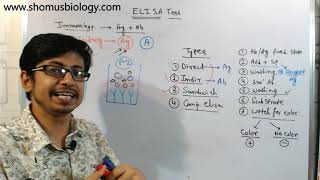 Competitive elisa procedure explained [upl. by Ociredef]