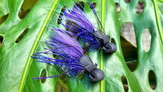 Gurgler Fly Pattern  Bug style [upl. by Oivatco253]